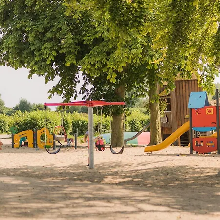 Muschel * Bliesdorf